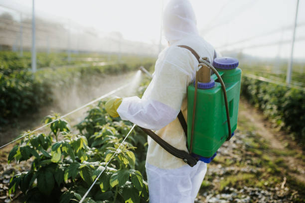Best Exterminator Services  in Hartford, CT